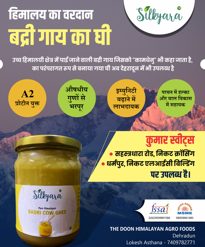 Google search engine