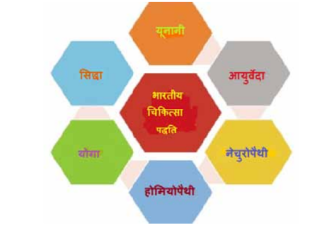 भारत में पारम्परिक चिकित्सा का उभरता वैश्विक केंद्र