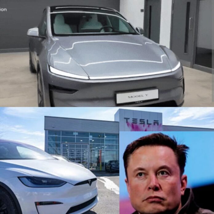 tesla car