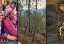 पौड़ी में आदमखोर गुलदार का कहर: महिला को बनाया निवाला, वन विभाग ने किया ढेर