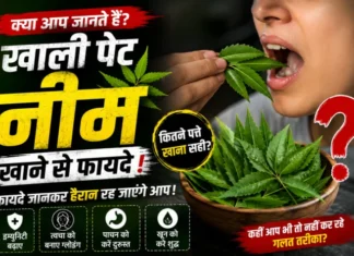 Neem Benefits: खाली पेट नीम खाने से फायदे! जानिए क्या कहते हैं विशेषज्ञ