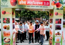 मुख्य सचिव ने किया नाबार्ड द्वारा आयोजित सेब महोत्सव 3.0 का शुभारम्भ
